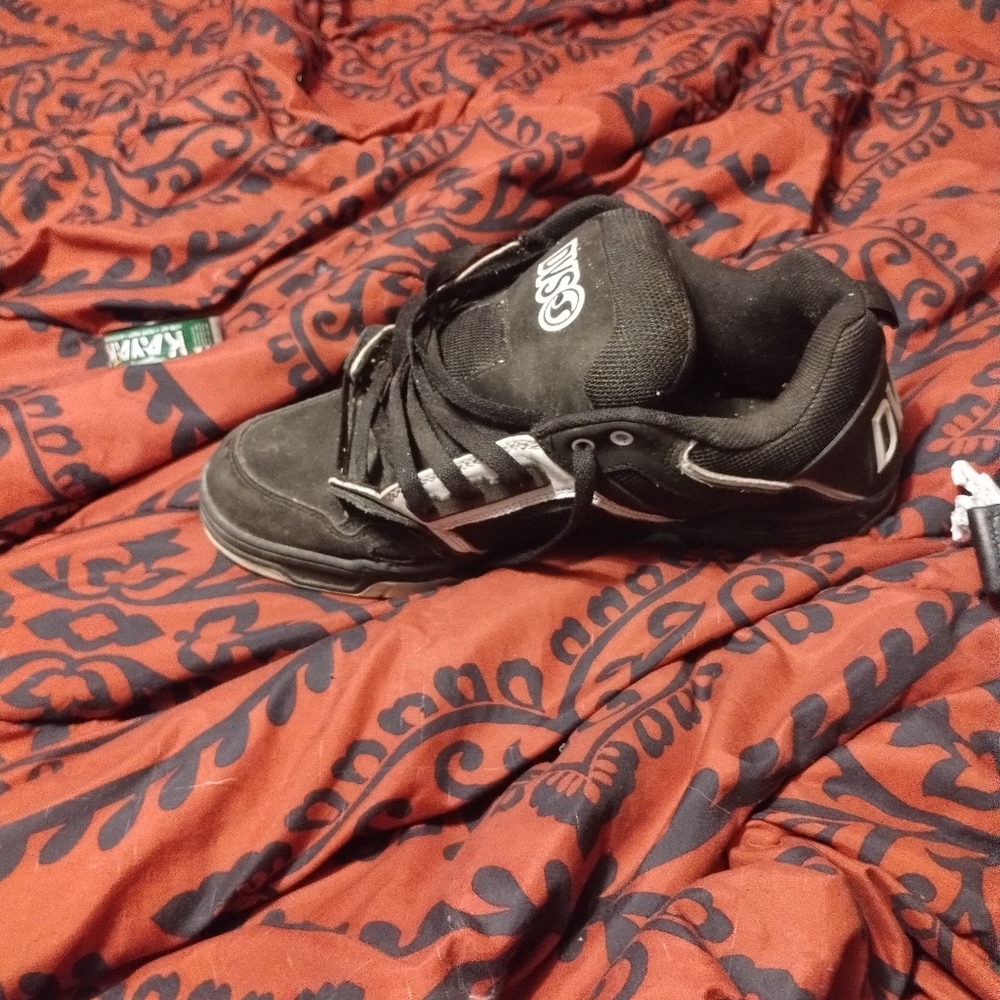 DVS shoes